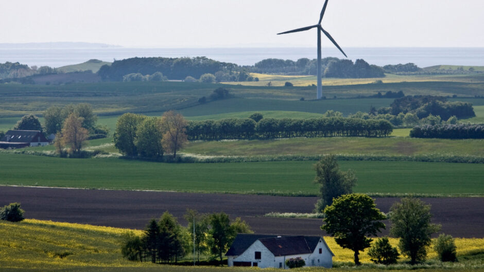 Δανία, η χώρα που ξεριζώνει χωράφια για να φυτέψει δάση