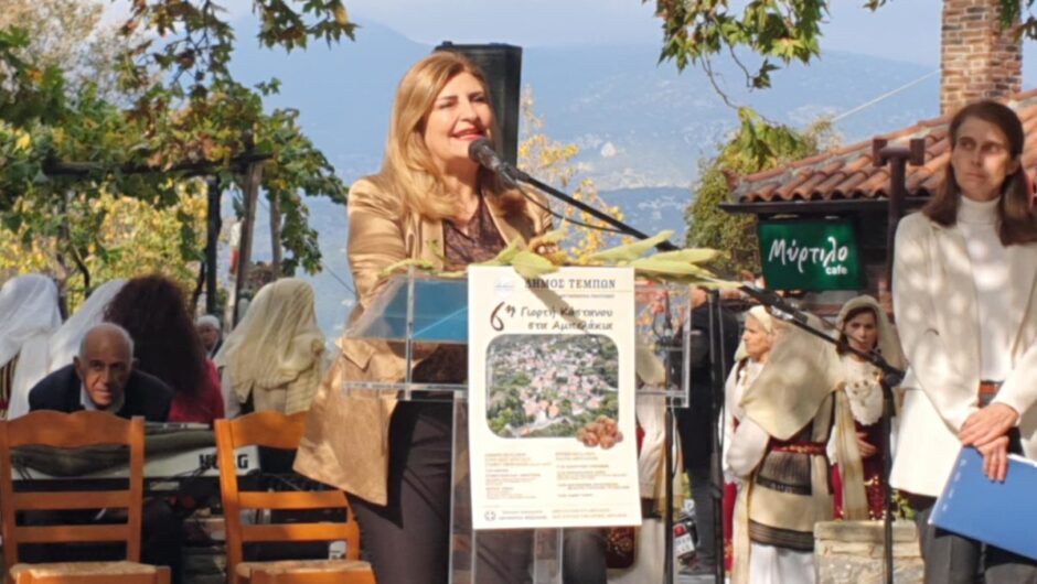 Λιακούλη σε γιορτή κάστανου Αμπελακίων: «ΤΩΡΑ κίνητρα στους παραγωγούς και στήριξη στα χωριά μας που ερημώνουν οριστικά»