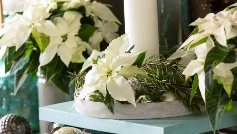 Tips για μοναδικά Χριστούγεννα