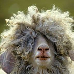 Η Ανθρώπινη Ιστορία (εν συντομία)