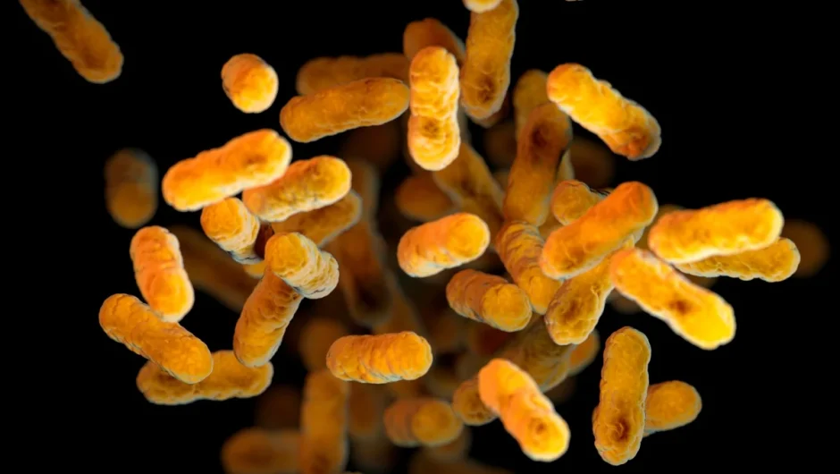 Προειδοποίηση – εφιάλτης από επιστήμονες: Τα «βακτήρια καθρέφτες» θα αφανίσουν την ανθρωπότητα