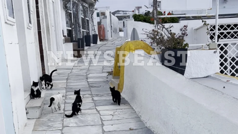 Σαντορίνη: Έρημα τα διάσημα σοκάκια της μετά τους σεισμούς – 14.000 κάτοικοι έχουν εγκαταλείψει το νησί