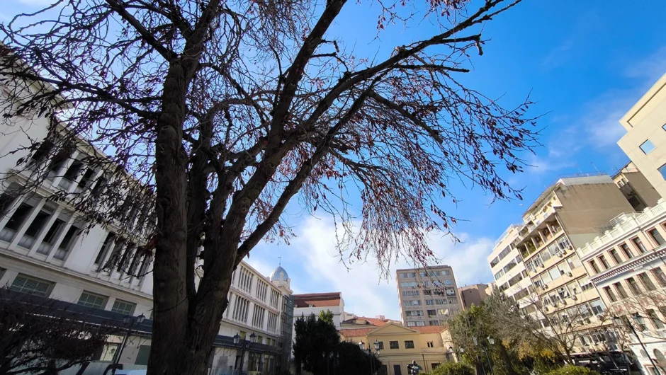 Πώς θα εξελιχθεί ο καιρός τη Μεγάλη Εβδομάδα – Η πρόβλεψη του Θοδωρή Κολυδά