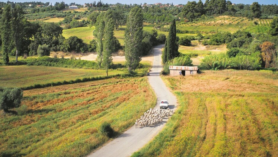 Έκαναν τα οικόπεδα χωράφια – Η κυβέρνηση απαξιώνει την περιουσία χιλιάδων μικροϊδιοκτητών