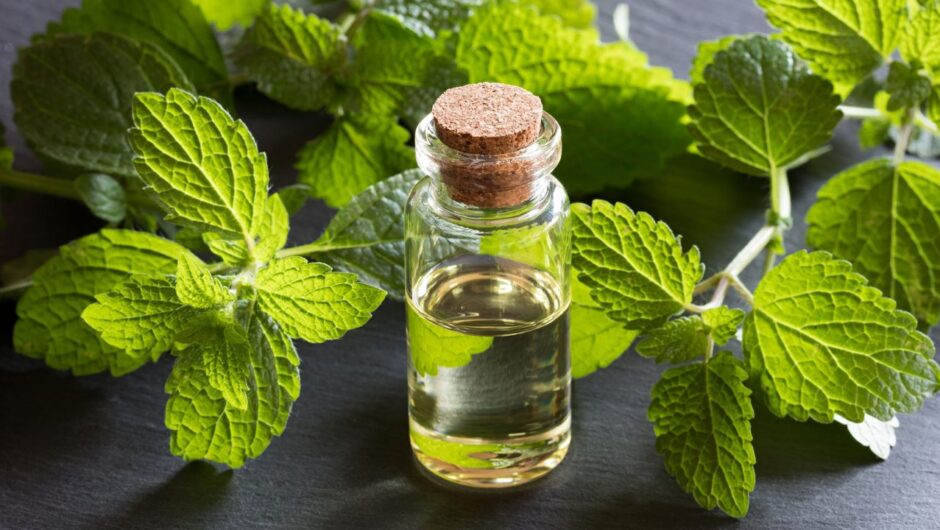 Το βότανο της ηρεμίας και της μακροζωίας – Βάλτε το στη ζωή σας