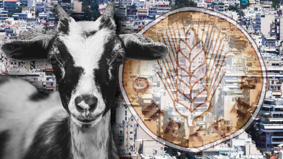 Βροχή οι καταγγελίες για τον ΟΠΕΚΕΠΕ: «Το σύστημα έβγαζε το κοπάδι μου σε Χαλάνδρι και Γαύδο»