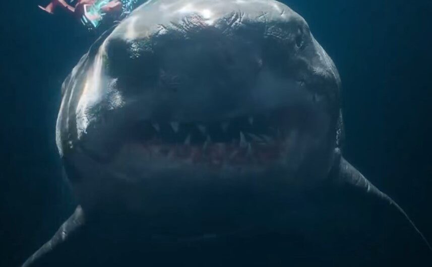Μεγαλόδοντες: Οι καρχαρίες που ήταν προϊστορικοί εφιάλτες – Γιατί εξαφανίστηκαν;