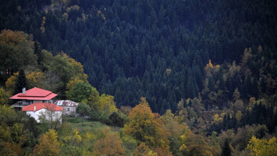 Πώς να διαχειριστείτε τον δασικό χαρακτηρισμό