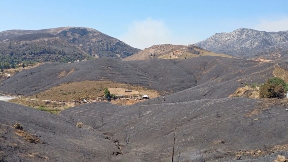 Φωτιά στη Χίο: Στάχτη τεράστιες εκτάσεις πρασίνου (Εικόνες)