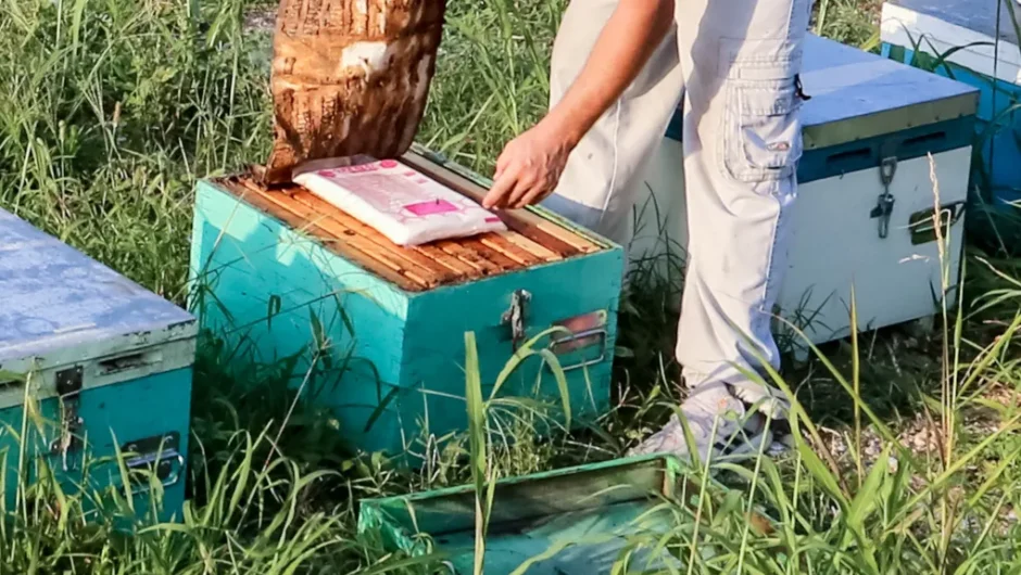 ΟΠΕΚΕΠΕ: Οσμή σκανδάλου Νο 2 με τις επιδοτήσεις στη βιολογική μελισσοκομία