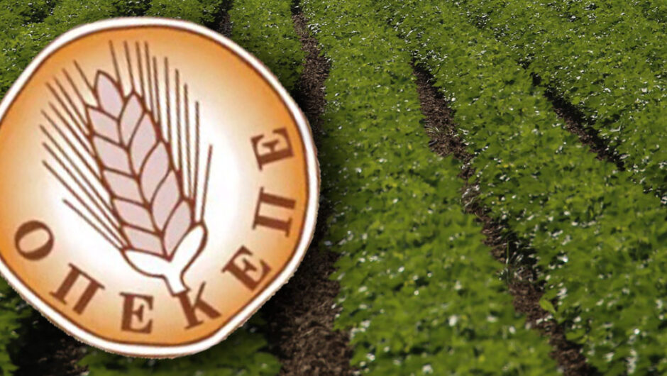 Δίκη ΟΠΕΚΕΠΕ: Μισθωτήριο 10 ευρώ το χρόνο για 1000 στρέμματα «δεν το πρόσεξε» η κατηγορούμενη