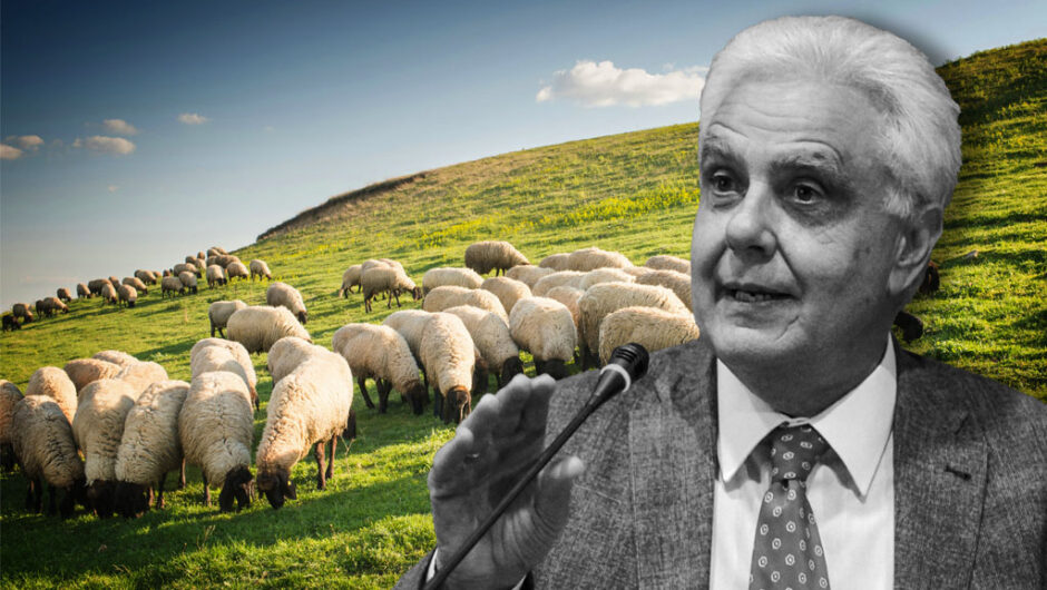 Από σαλάτα σε… Σαλάτα