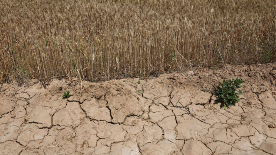 Η ξηρασία ως αρχή μιας παγκόσμιας καταστροφής – Δεκάδες εκατομμύρια άνθρωποι κινδυνεύουν με πείνα