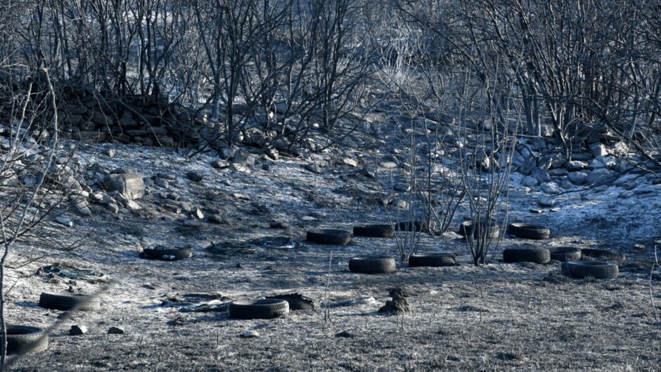 Λάρισα: Μετράνε τα …τραύματά τους μετά την μεγάλη φωτιά στην περιοχή της Αγιάς – Αποκαΐδια στον τόπο της πυρκαγιάς: “Ευχαριστώ τους ήρωες πιλότους…” (φωτο)
