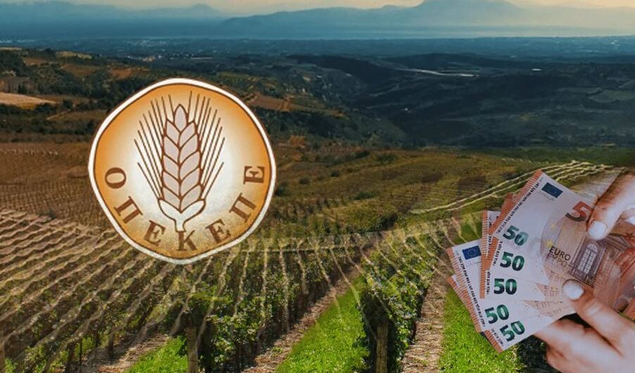 Σκάνδαλο ΟΠΕΚΕΠΕ: Εφόδους σε βοσκοτόπια ξεκινά η ΕΛ.ΑΣ. – «Ξεσκονίζουν» επιδοτήσεις για ελαιόδενδρα και μελίσσια