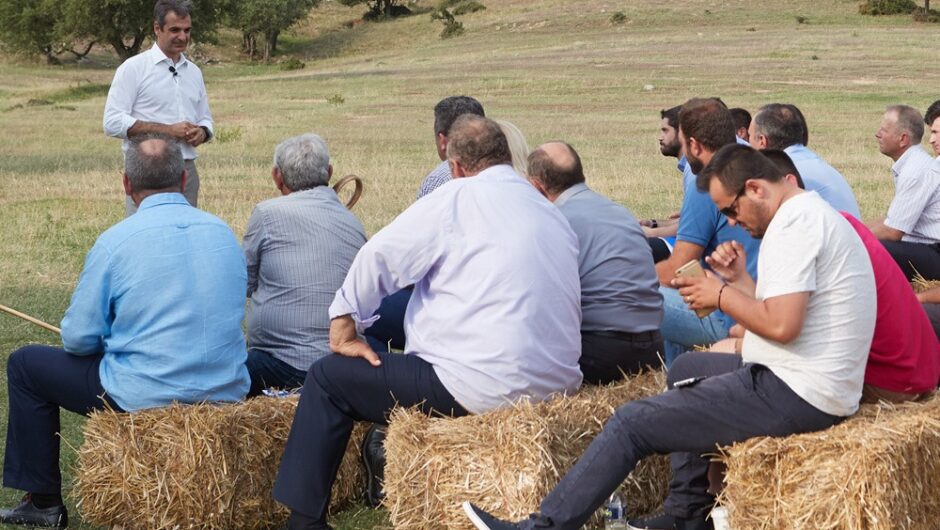 Σανό… Εδώ το καλό σανό, λέγετε