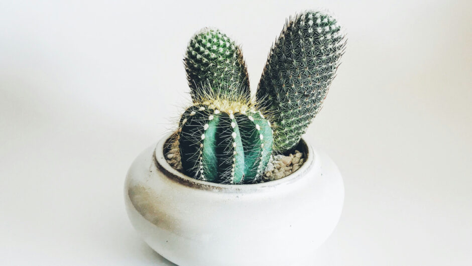 Οι πιο συχνές ερωτήσεις για τις στύσεις (με τις απαντήσεις τους)