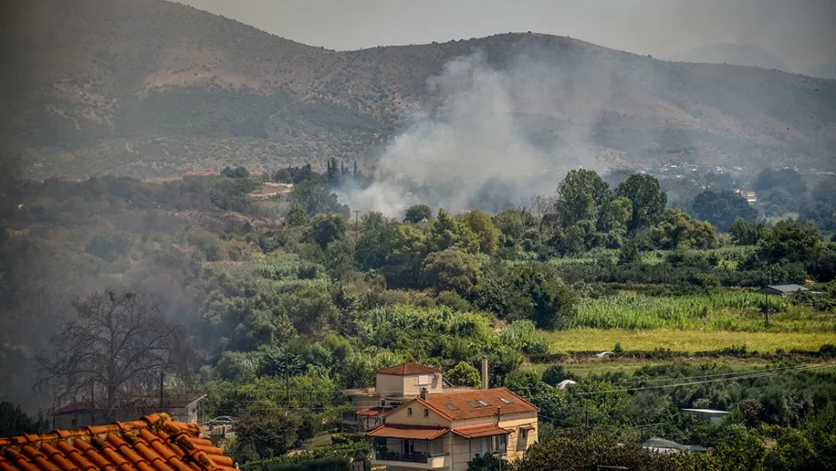 Θράσος