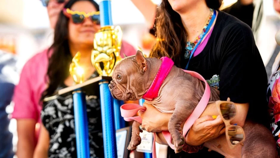 Το “πιο άσχημο σκυλί στον κόσμο” στέλνει ένα ηχηρό μήνυμα αγάπης