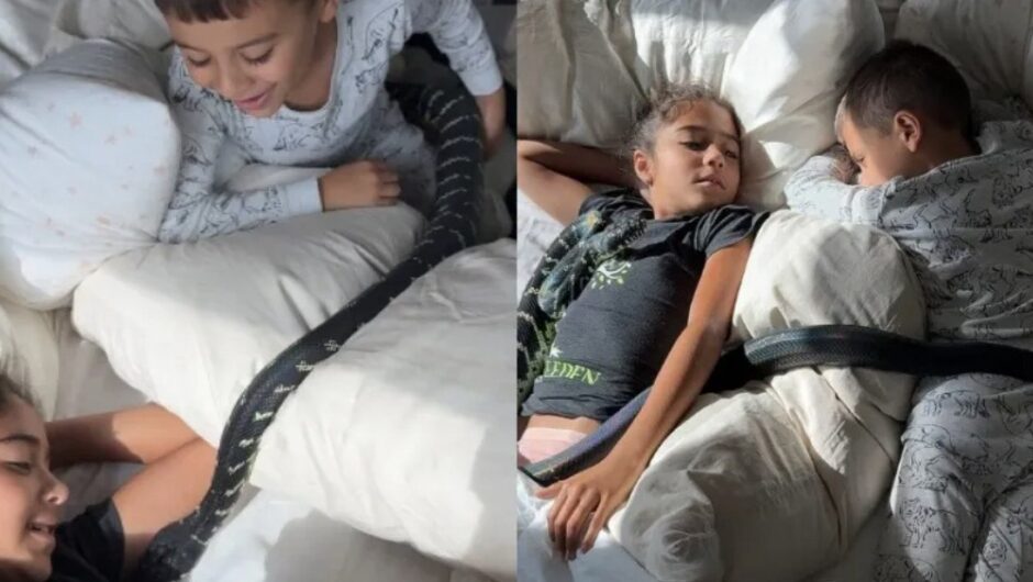 Ζει με περισσότερα από 100 φίδια στο σπίτι του – Τα παιδιά του μοιράζονται τα κρεβάτια τους με τα ερπετά