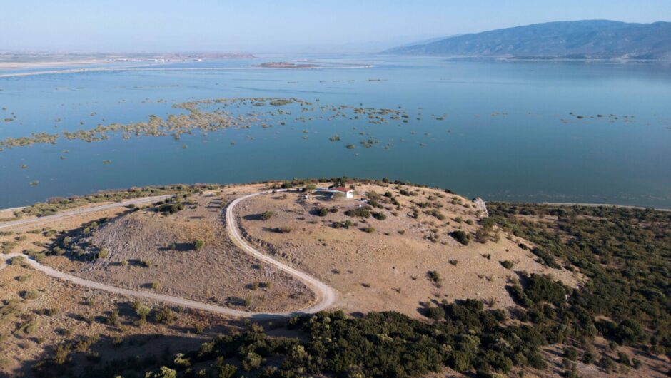 ΟΠΕΚΕΠΕ: Θεσσαλοί αγρότες «βάφτισαν» πατάτα το σιτάρι στην Κάρλα και «τσέπωσαν» 2 εκατομμύρια ευρώ