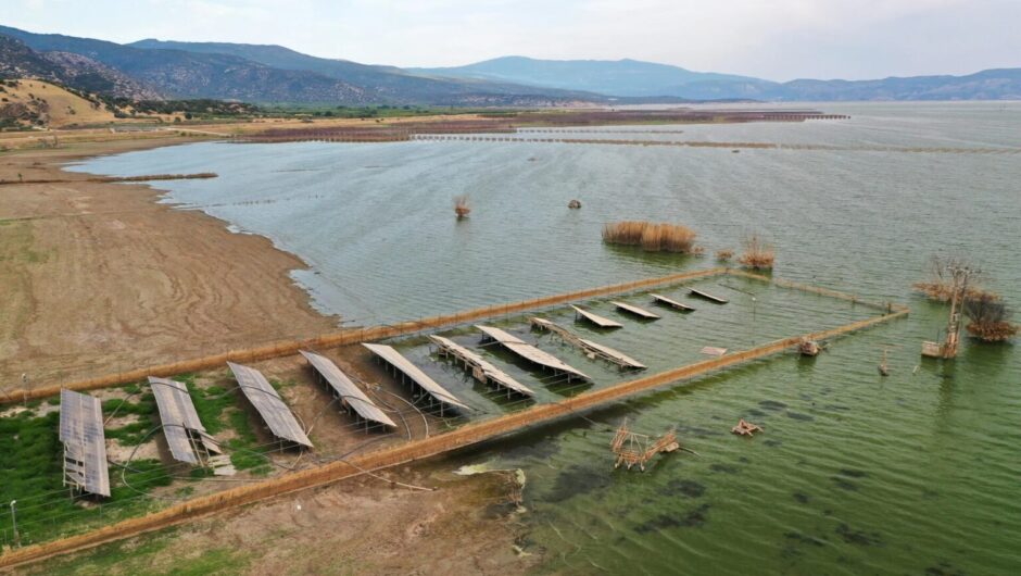 Η Θεσσαλία πλημμυρισμένη και τα ταμεία γεμάτα – Πως το κύκλωμα του ΟΠΕΚΕΠΕ εισέπραξε εκατοντάδες χιλιάδες ευρώ