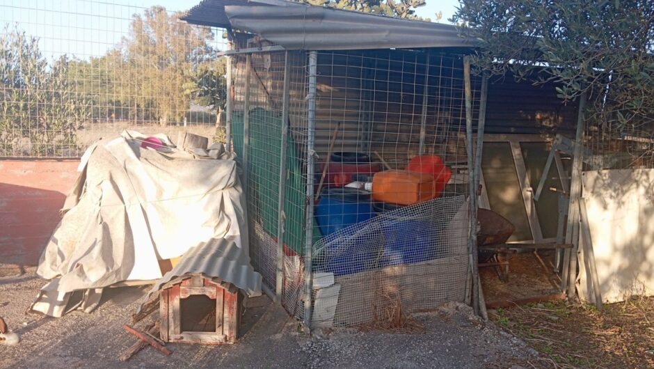 Ενοικιαστές σε απόγνωση, με όπλο το μαύρο χιούμορ: Η viral αγγελία στα Χανιά για το «κοτέτσι» των 1650 ευρώ