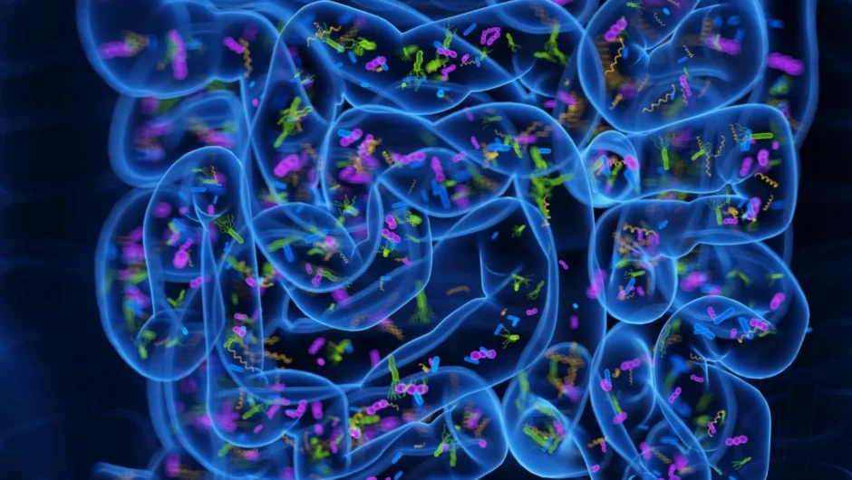 Οι 8 συνήθειες που θα βελτιώσουν την υγεία του εντέρου σας, από έναν γαστρεντερολόγο