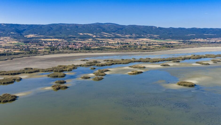 Λίμνη Κορώνεια / Δυστοπικές εικόνες – Η ανομβρία στεγνώνει το πολύτιμο οικοσύστημα