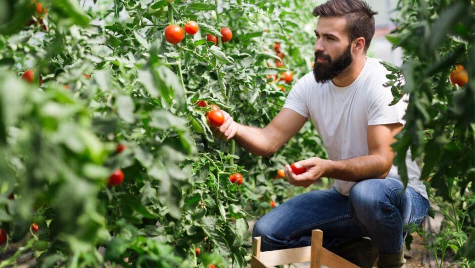 Αγρότες: Ένας στους τέσσερις άνω των 55 χρονών – Το στοίχημα με τη νέα γενιά [γραφήματα]