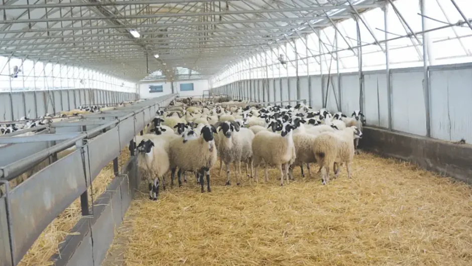 Η μονταζιέρα στα καλύτερα της