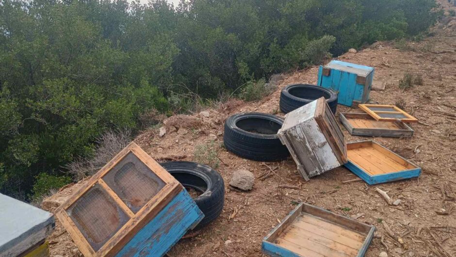 Αρκούδα ήθελε να γευτεί το μέλι και τα έκανε άνω κάτω σε χωριό της Λάρισας (φωτο)