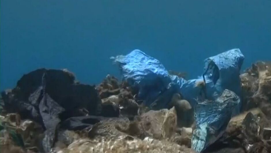 Μεσόγειος SOS: Υπεραλίεσυη και μικροπλαστικά απειλούν τα ελληνικά ιχθυαποθέματα
