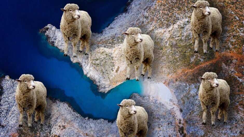 Στέκια ΟΠΕΚΕΠ-ιώτικα