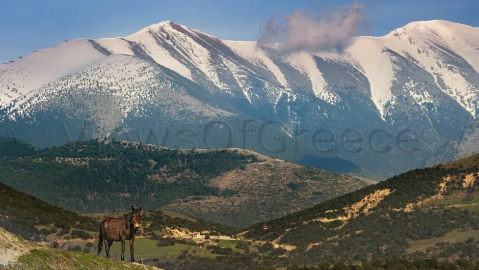 Η άγρια φύση της Ελλάδας κινδυνεύει να υποβαθμιστεί για πάντα