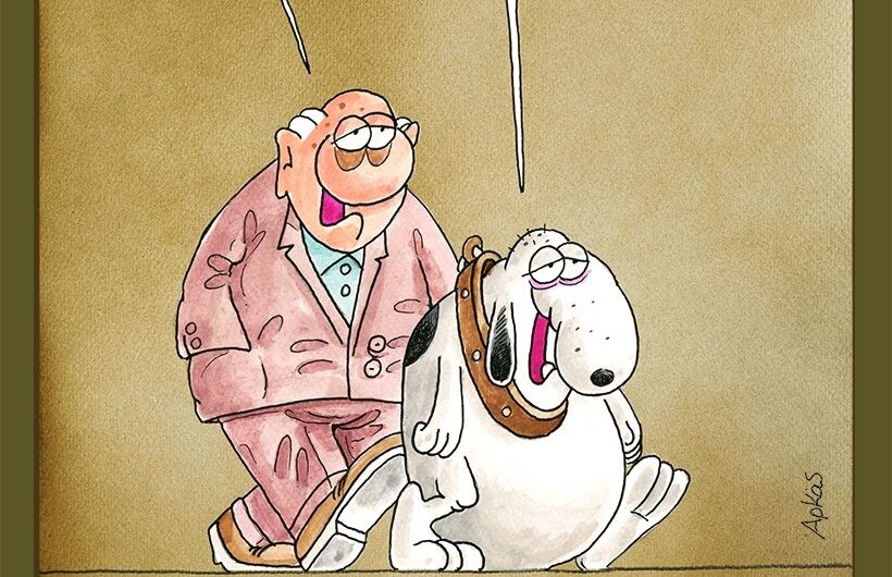 Αρκάς: Μια καλημέρα γεμάτη εμπειρίες