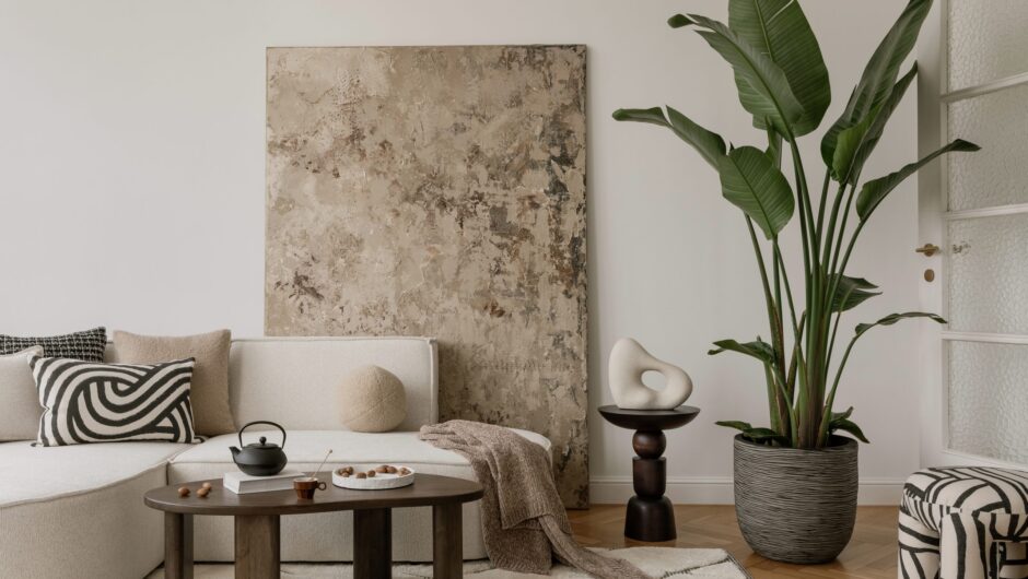 10 φυτά για καλή τύχη και θετική ενέργεια τη νέα χρονιά – Πώς να ανανεώσετε το σπίτι σας φυσικά