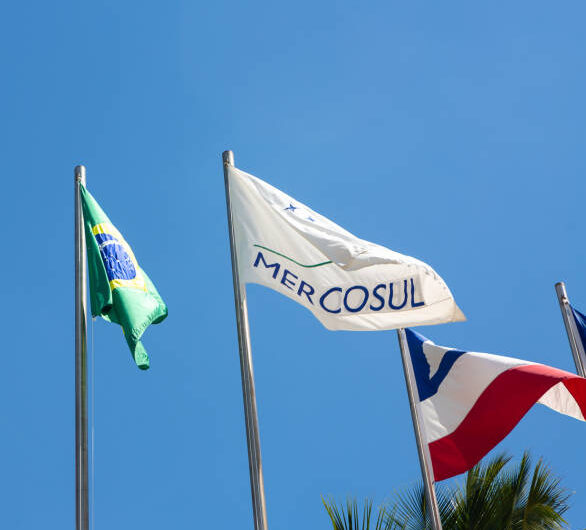 Με πράσινο όσες χώρες ψήφισαν υπέρ.