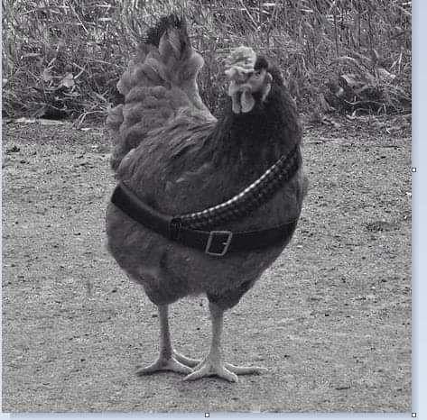 Να δεις που θα κάνουν την Ρωσία πετρελαϊκό μονοπώλιο στην ευρύτερη περιοχή.