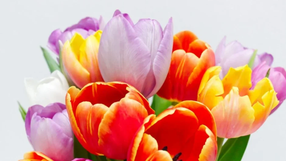 Εορτολόγιο: Ποιοι γιορτάζουν σήμερα 17 Μαρτίου