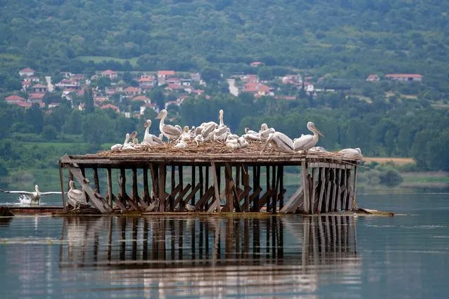 Ανοιξιάτικες αποδράσεις σε 4 “μαγικές” λίμνες