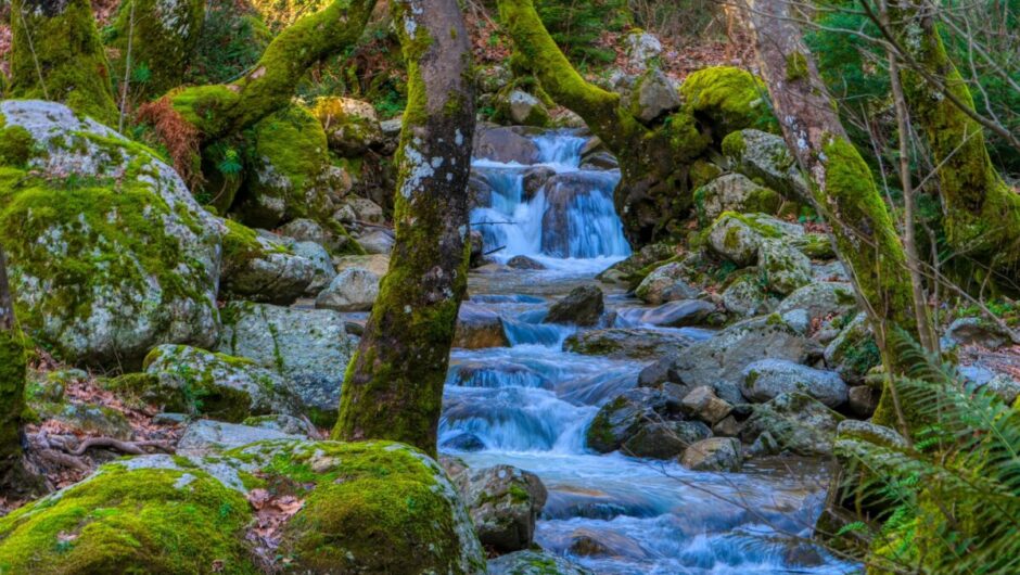 Πρωτομαγιά 2026: 3 εκδρομές για την αργία με τριήμερο