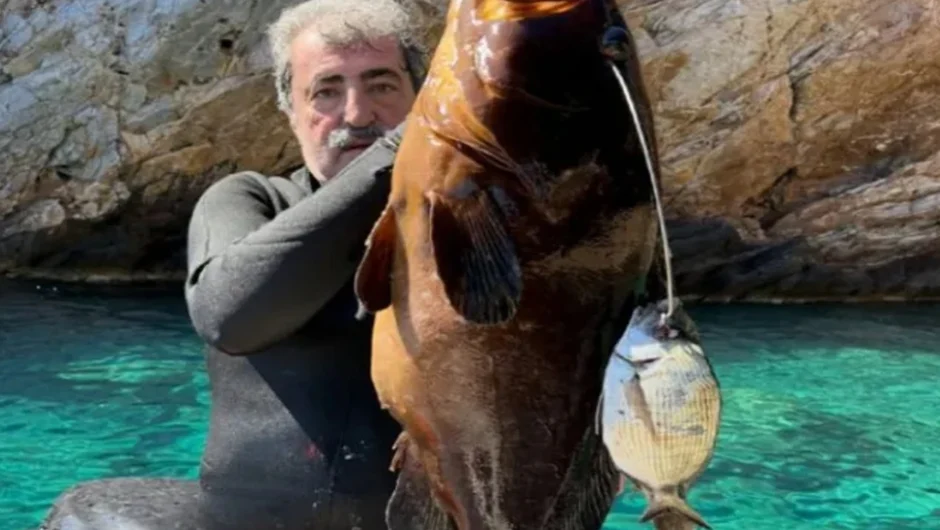 Ένας ροφός, τα «θολά νερά» και το κόμμα του Αλέξη Τσίπρα – Το σχόλιο Πολάκη για την ίδρυση της ΕΛΑΣ